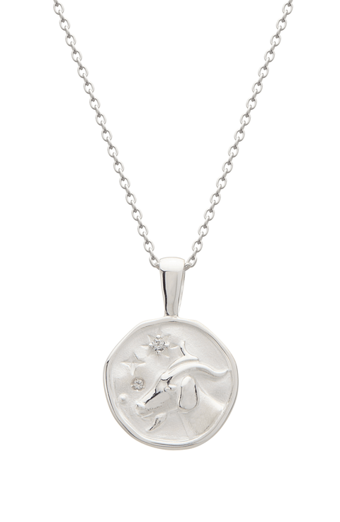 Capricorn Necklace
