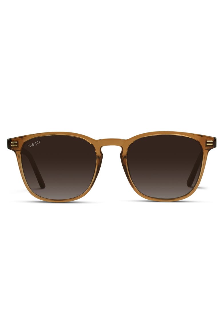 Nick - 51mm Polarized Rounded Square Sunglasses, Main, color, Crystal Brown