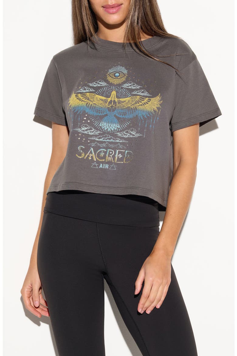 Hawk Spirit Graphic Tee, Main, color, VINTAGE BLACK