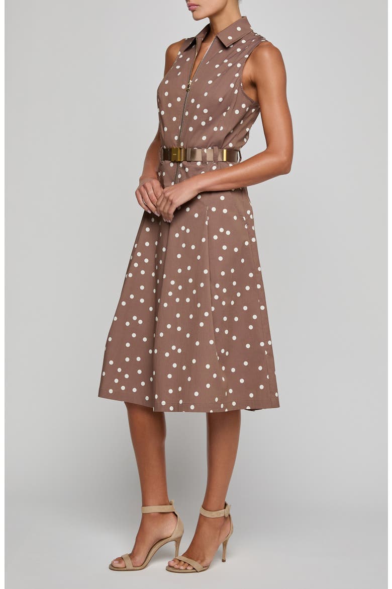 Kylo Polka Dot Belted Shirtdress, Alternate, color, CARDAMOM/ ECRU POLKA DOT