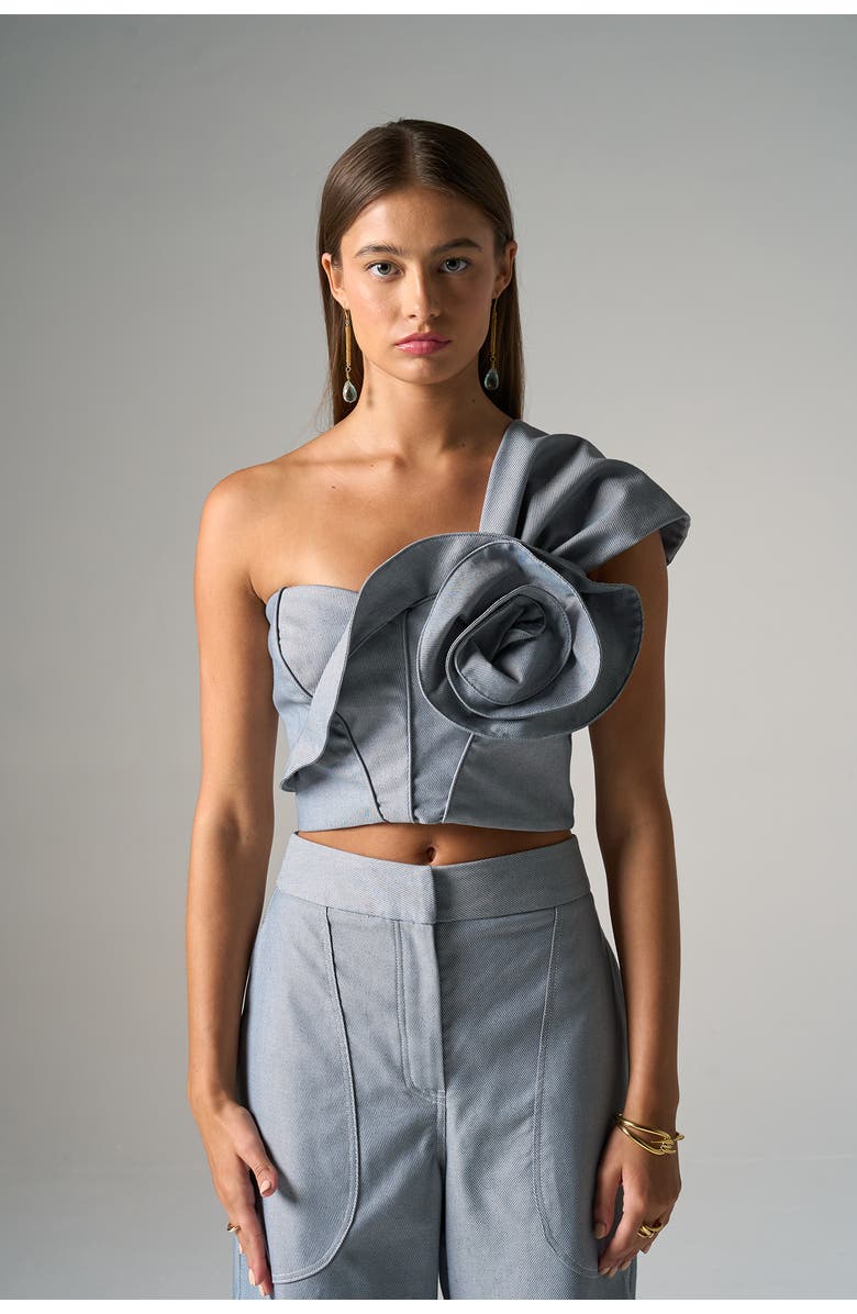 JBQ Blair Top, Main, color, Denim