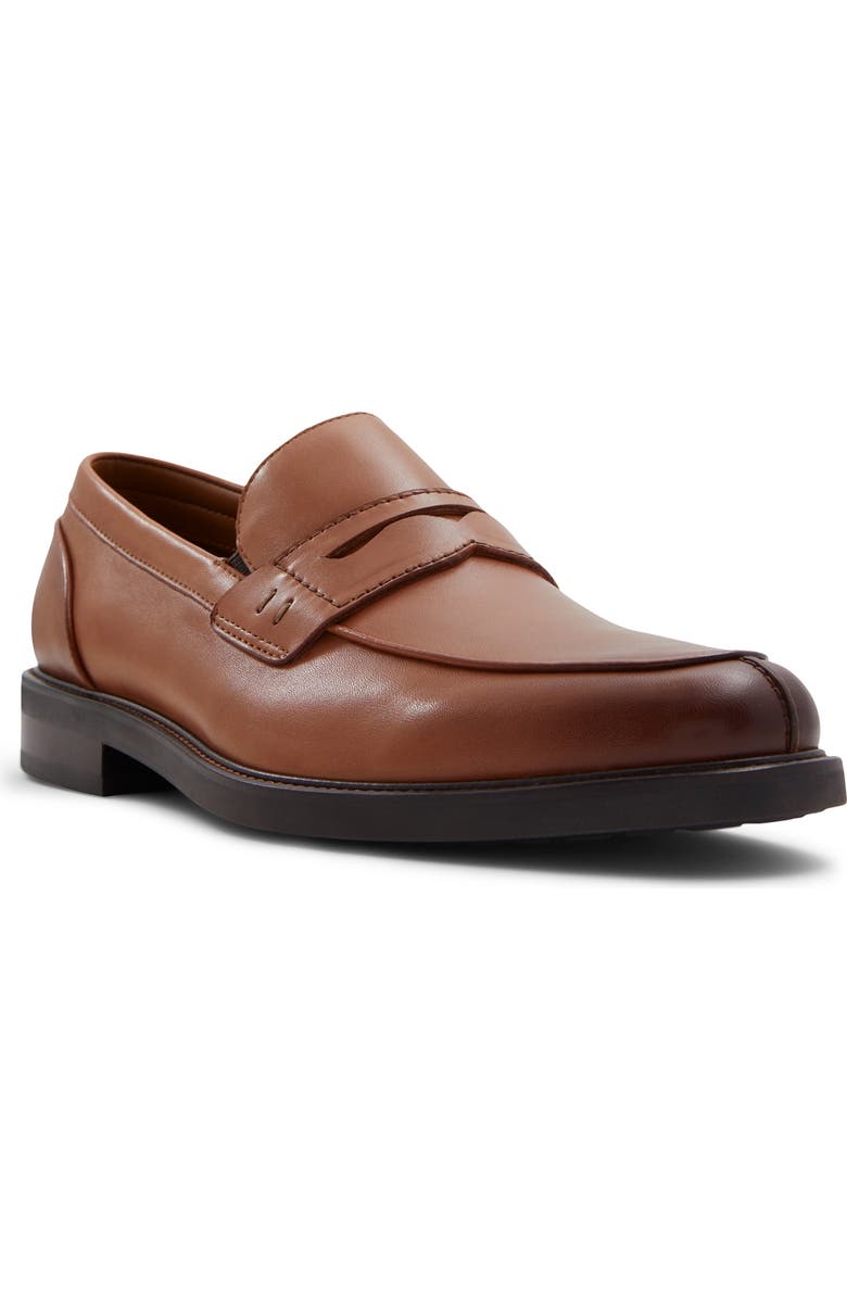 ALDO Sullivan Penny Loafer, Main, color,
