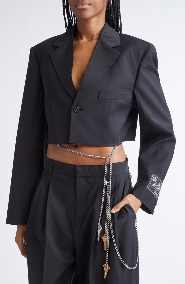 Alexander Wang Chain Embellished Crop Blazer, Alternate, color, Black