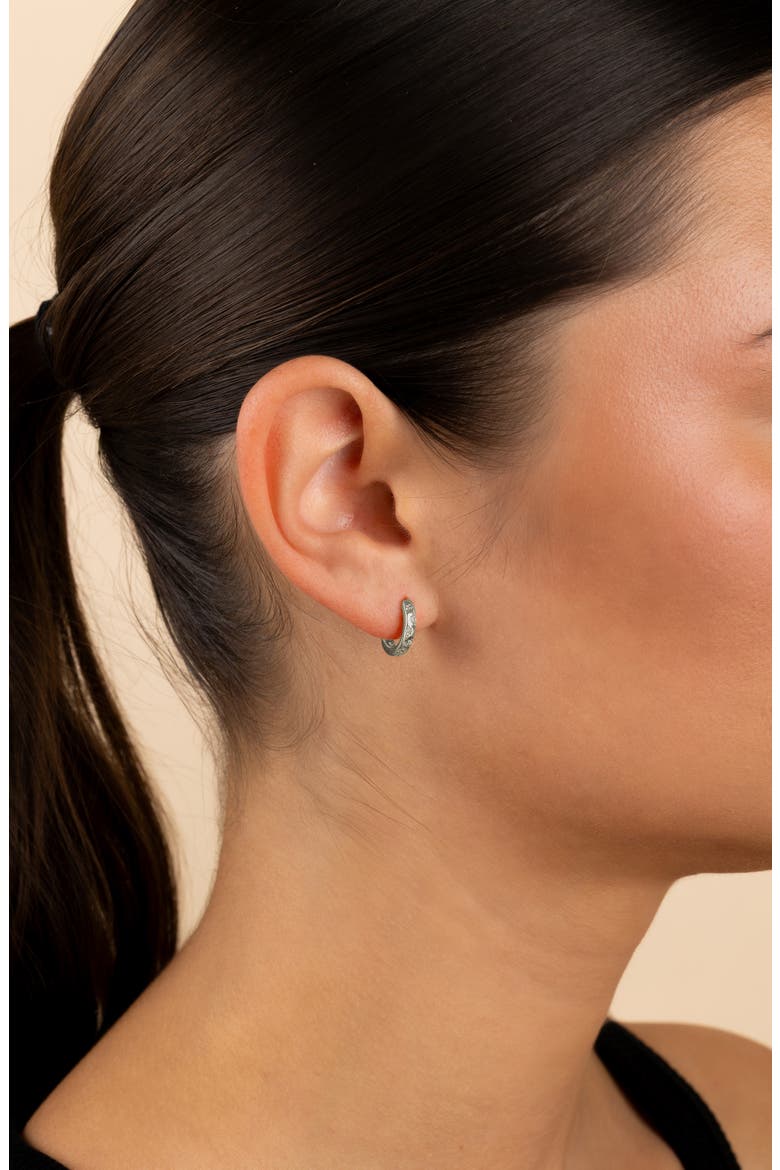Domenica Celestial Charm Huggie Hoop Earrings, Alternate, color, SILVER