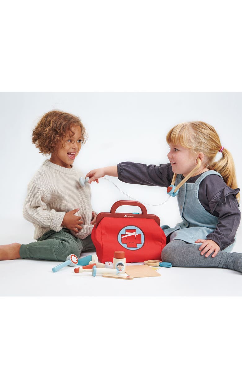 Tender Leaf Toys Doctor's Bag Playset, Alternate, color, Multi