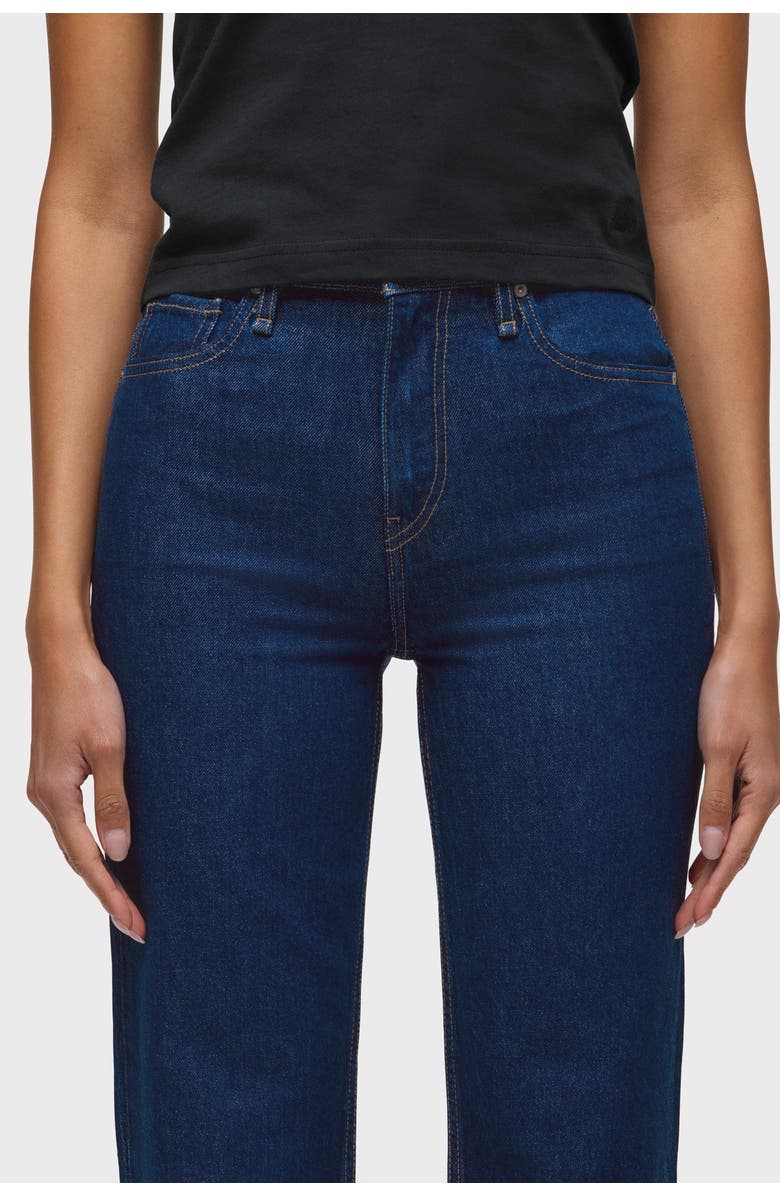 Hudson Jeans Remi High-Rise Straight, Alternate, color, Rinse