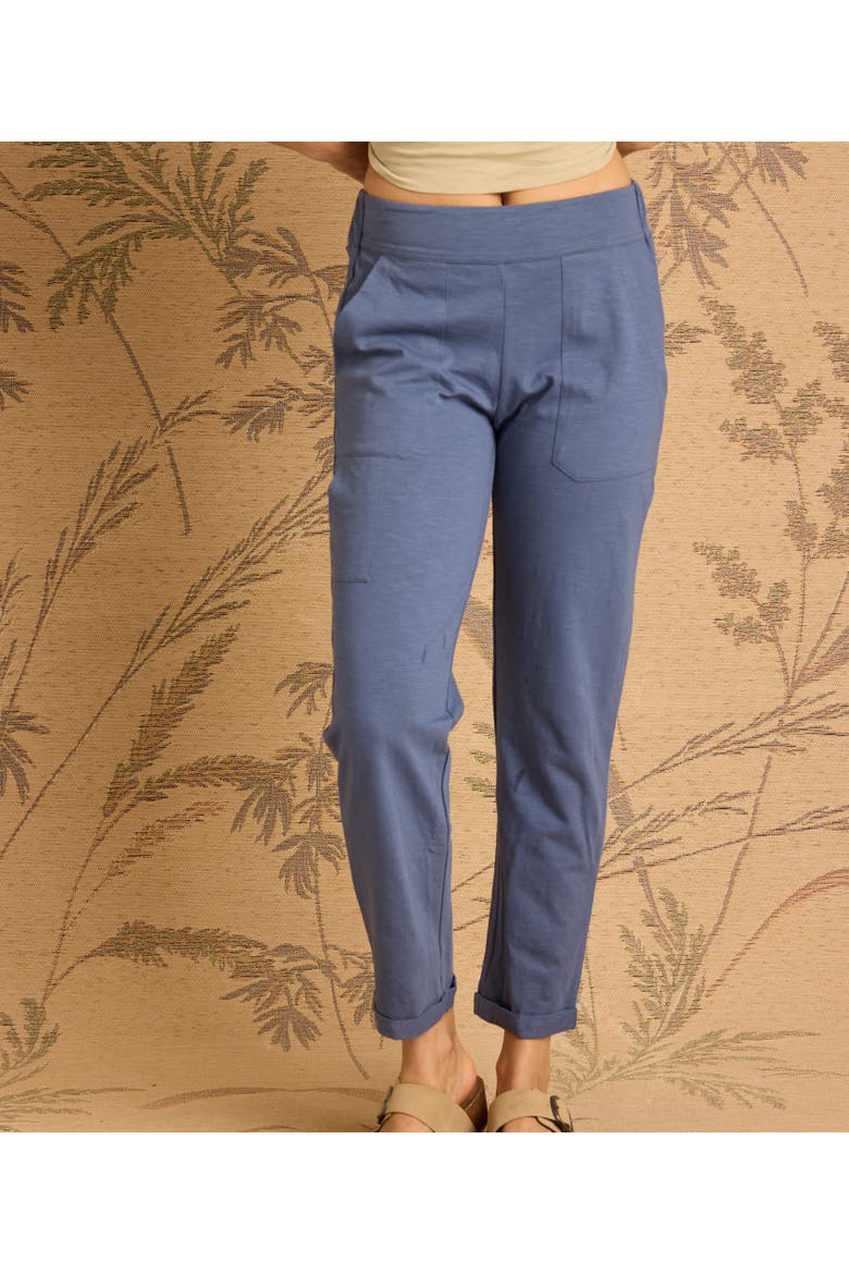 Nolan Pant, Alternate, color, Indigo