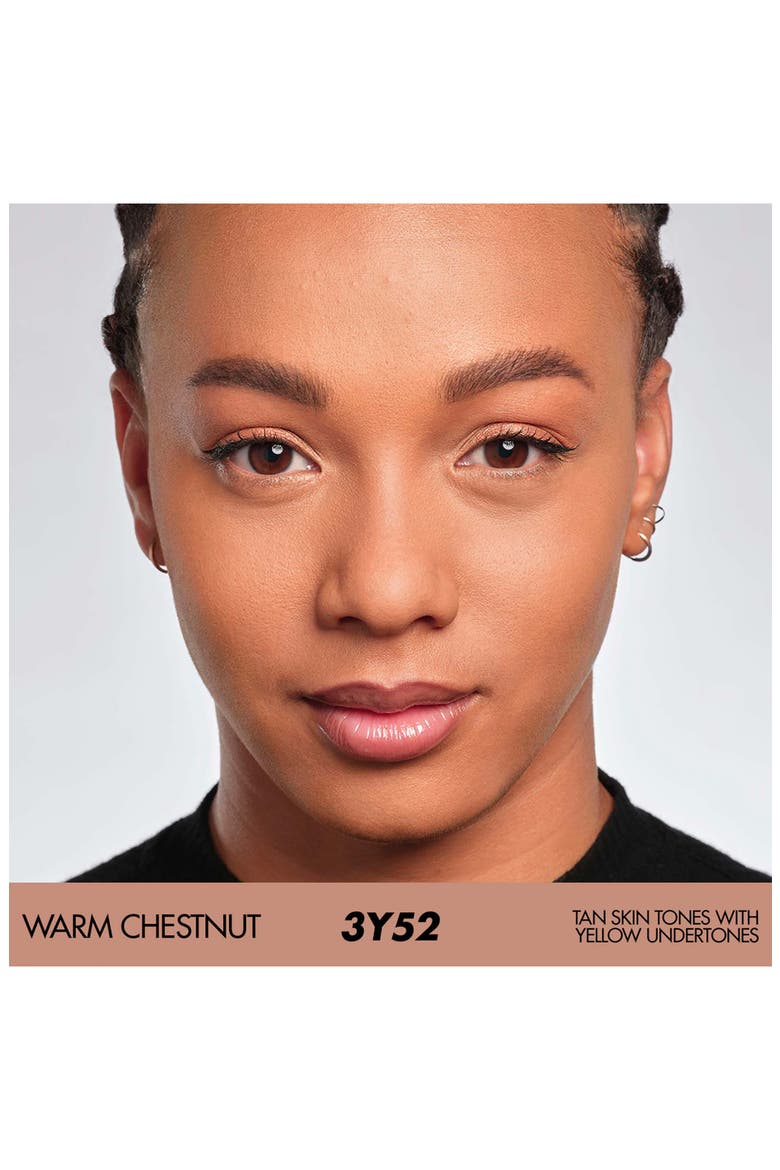 HD Skin Matte Velvet 24 Hour Blurring & Undetectable Powder Foundation, Alternate, color, 3Y52 WARM CHESNUT