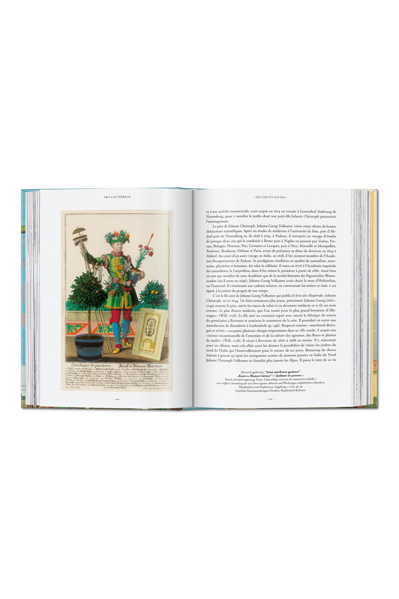 J C Volkamer The Book of Citrus Fruits 45th ed English French German Book, Alternate, color, Orange