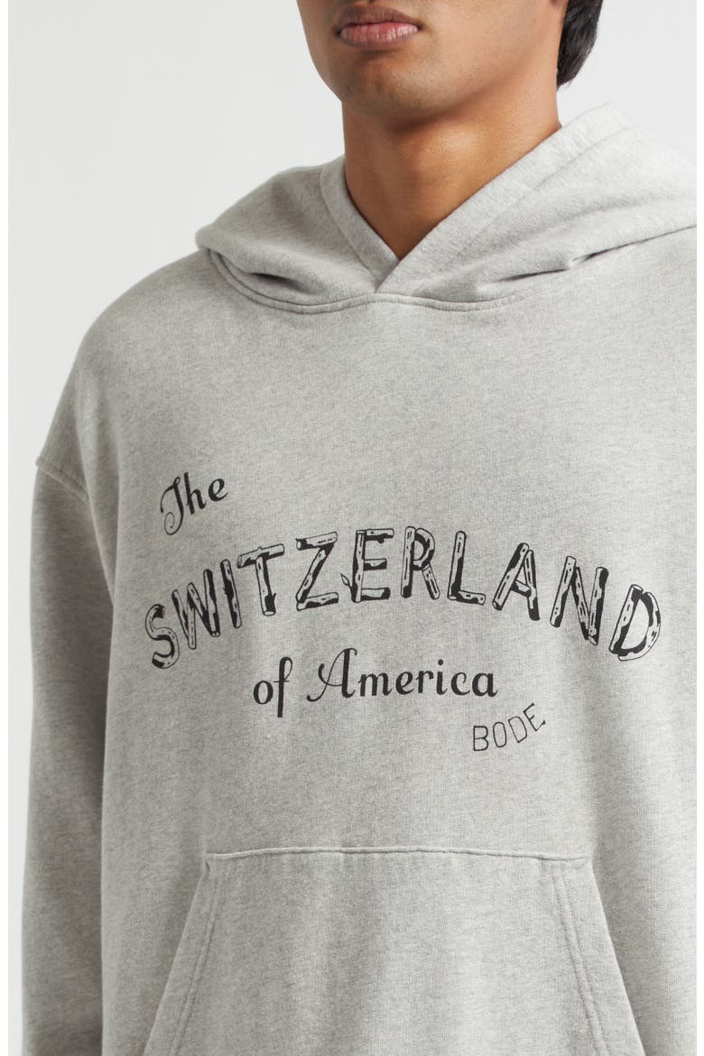 Campground Cotton Graphic Hoodie, Alternate, color, GREY