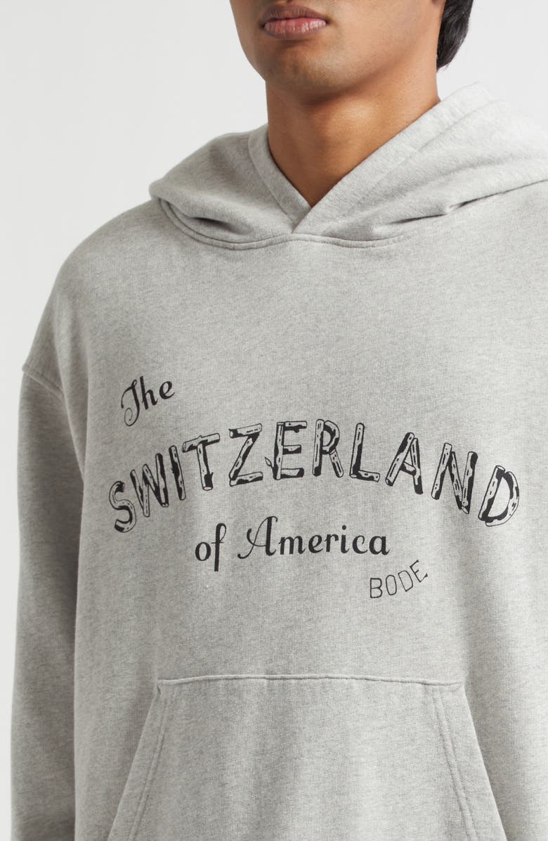 Bode Campground Cotton Graphic Hoodie, Alternate, color, Grey