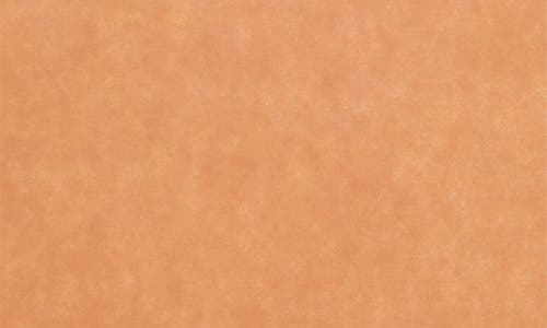 Zwilling Plant Fiber Wood Pizza Peel In Orange