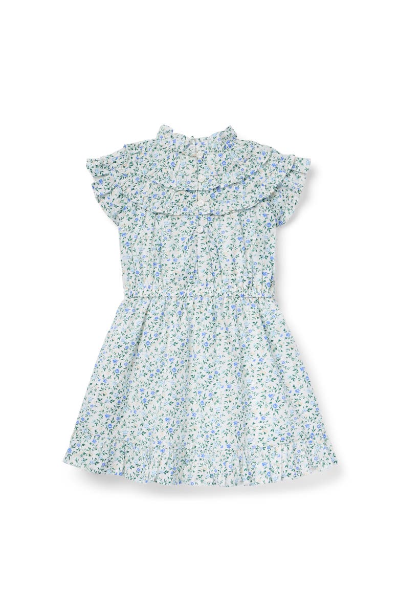 Janie and Jack Ditsy Floral Ruffle Dress, Alternate, color, White
