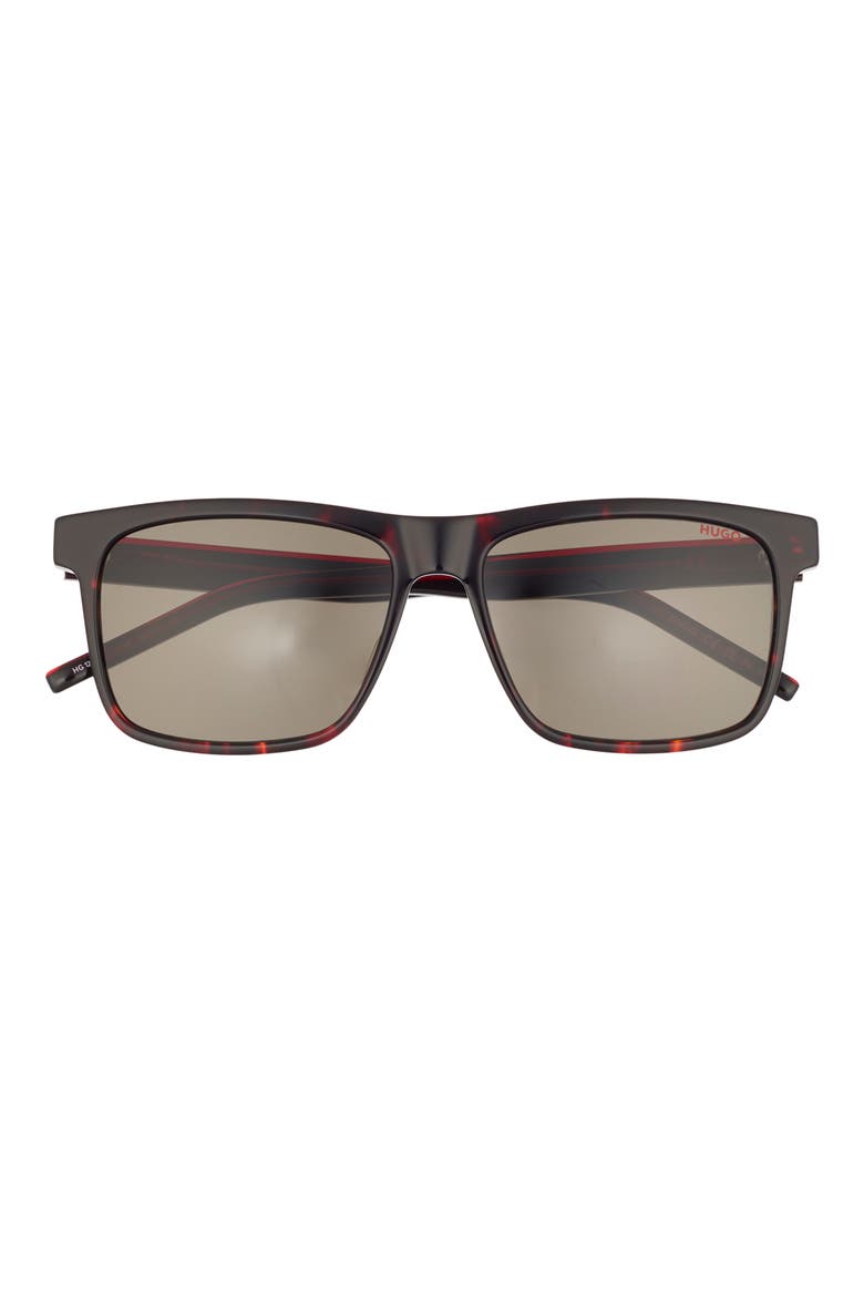 56mm Square Sunglasses, Main, color, HAVANA RED
