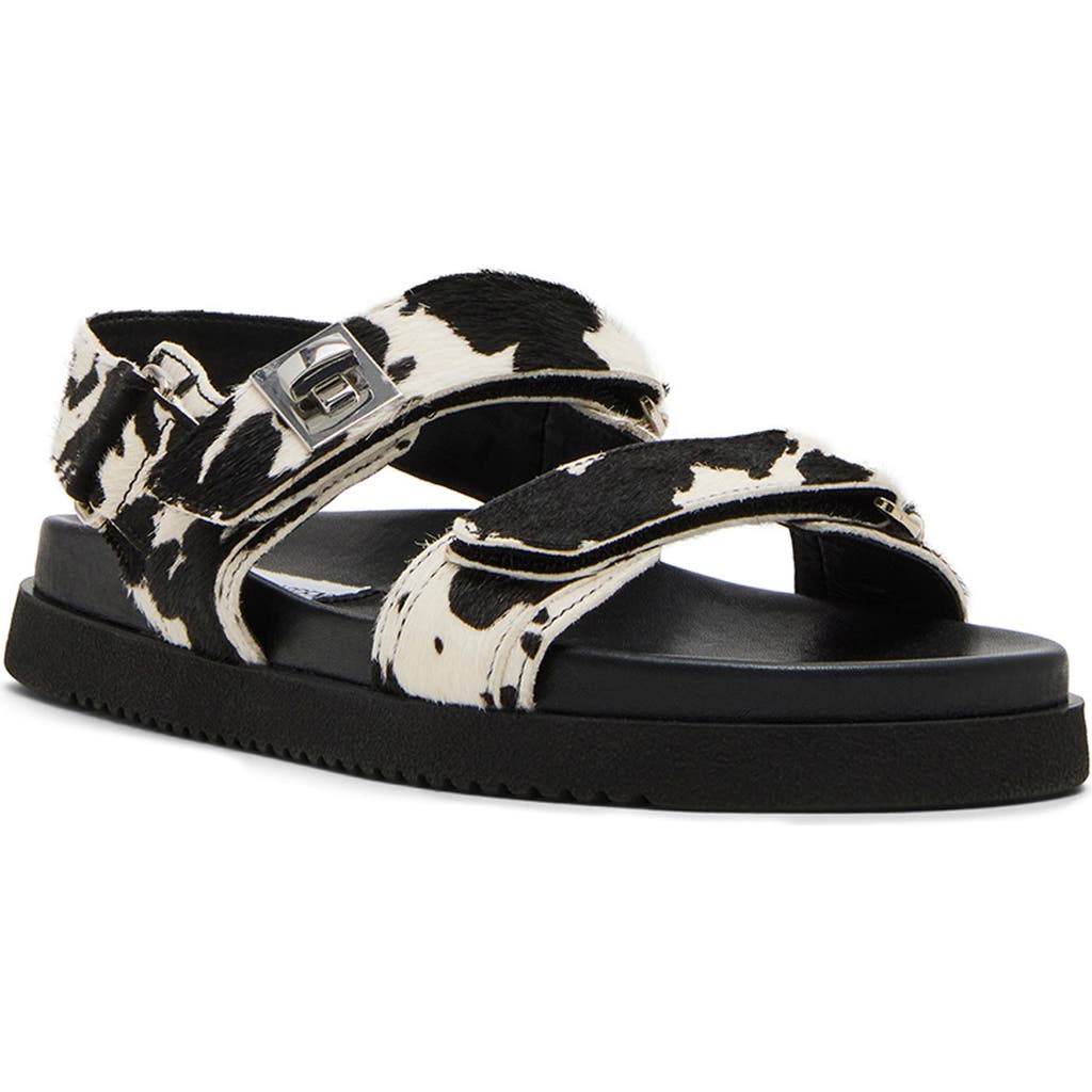 Shop Steve Madden Mona Sandal In Black/white Calf Hair