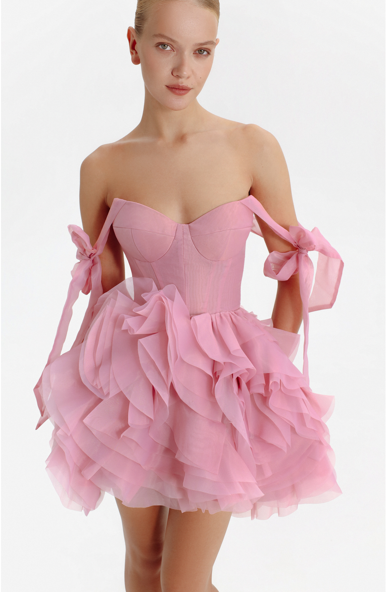 Milla Corset Mini Evening & Special Occasion Dress with Floral Appliques, Alternate, color, Pink