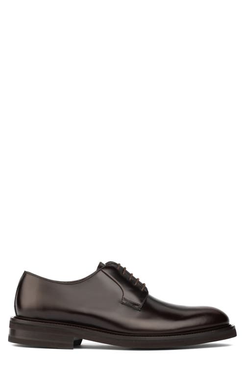 Shop To Boot New York Darvin Derby In Spazz Sirach