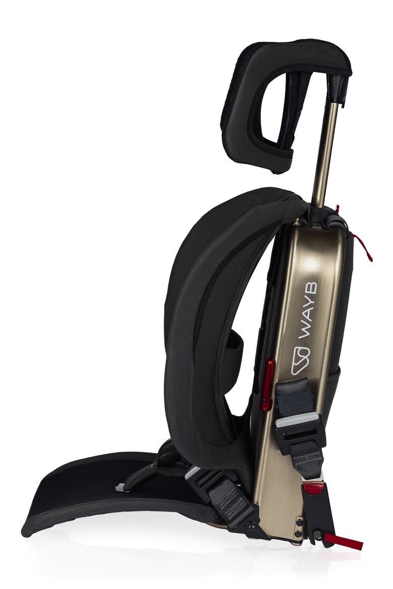 Pico Forward Facing Car Seat, Alternate, color, EARTH