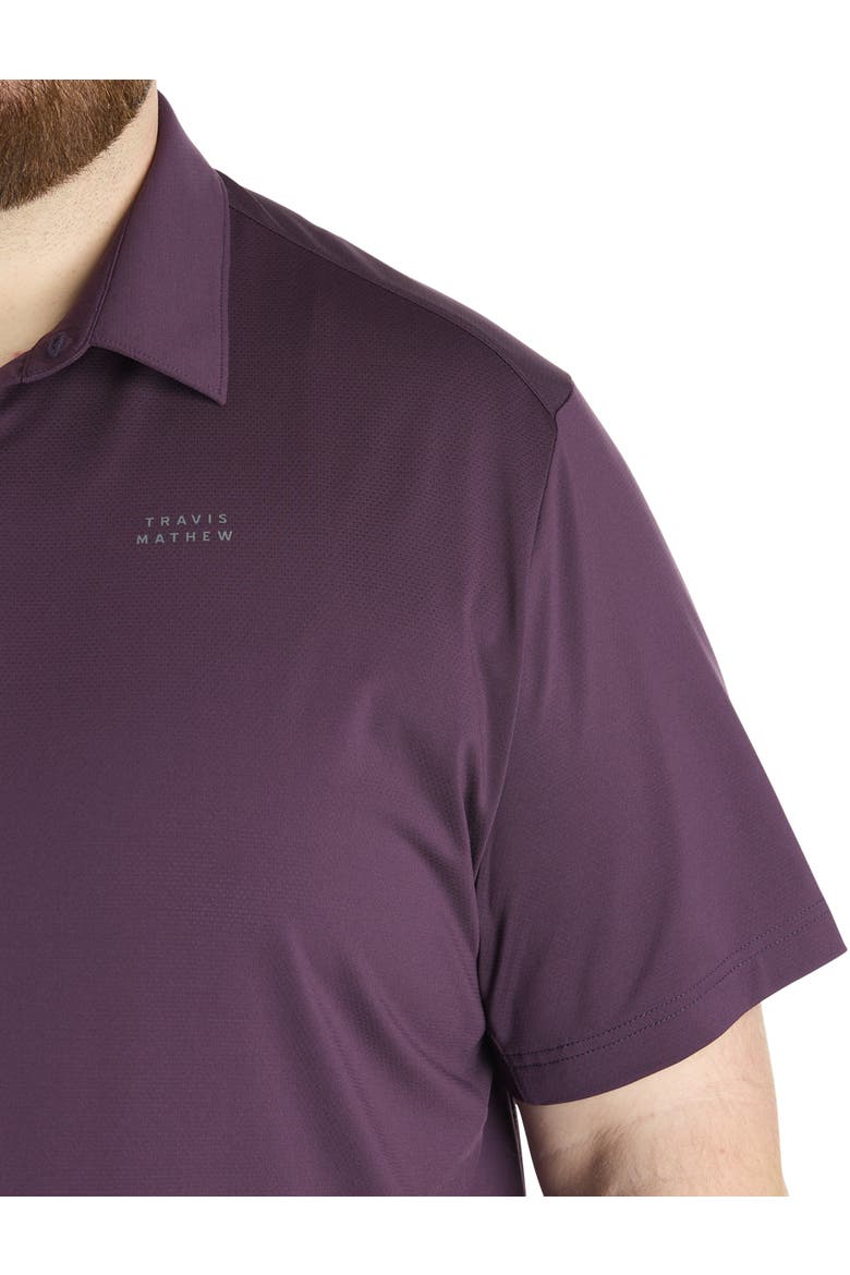 Big & Tall Heater Pro Polo, Alternate, color, PLUM