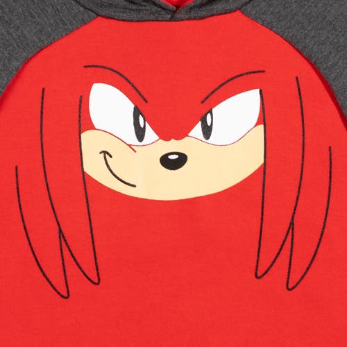 Sega Sonic The Hedgehog Pullover Hoodie In Multi