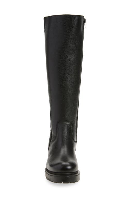 Chocolat Blu Frisco Knee High Boot In Black