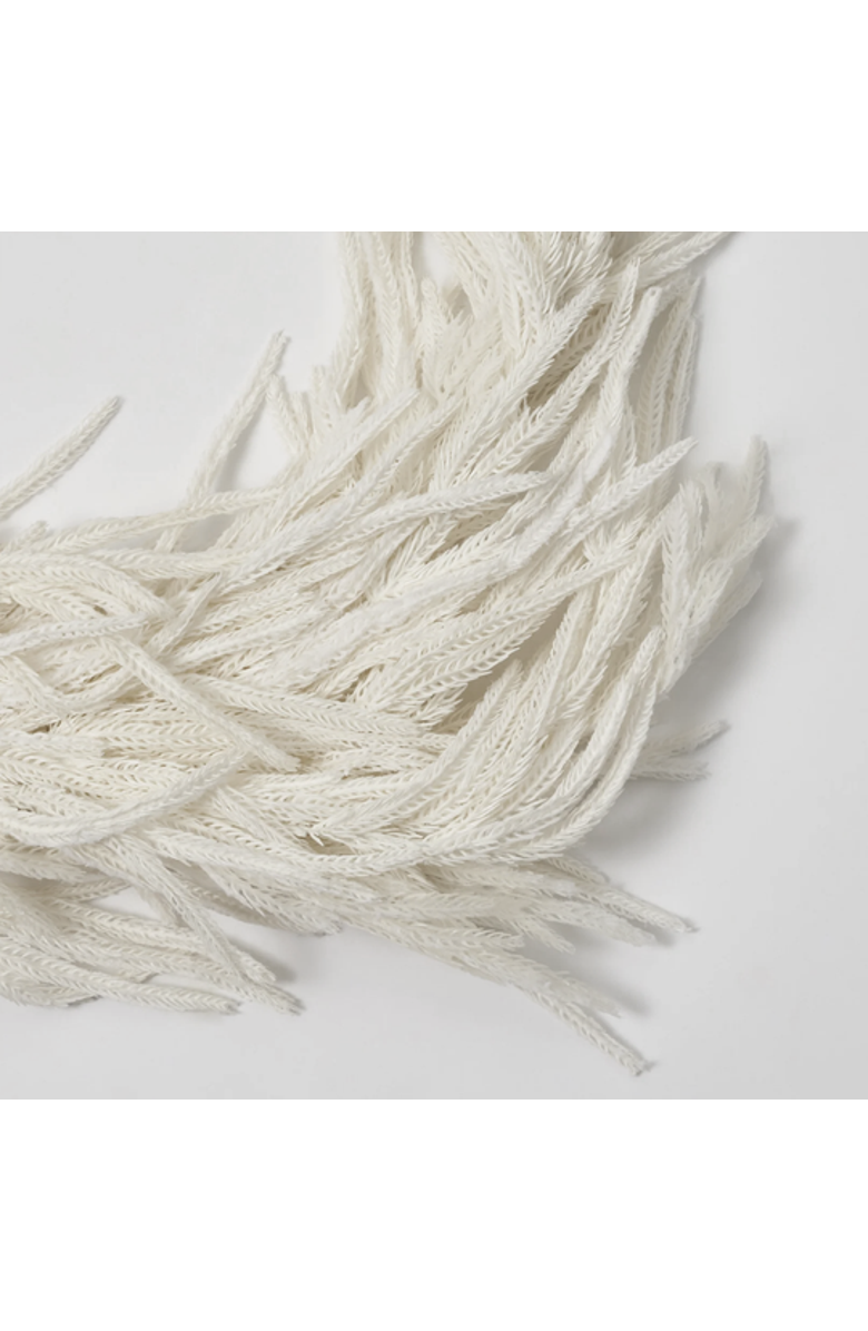 Darby Creek Trading Real Touch White Norfolk Pine Christmas Holiday Front Door Garland Table Runner, Alternate, color, White 10Ft