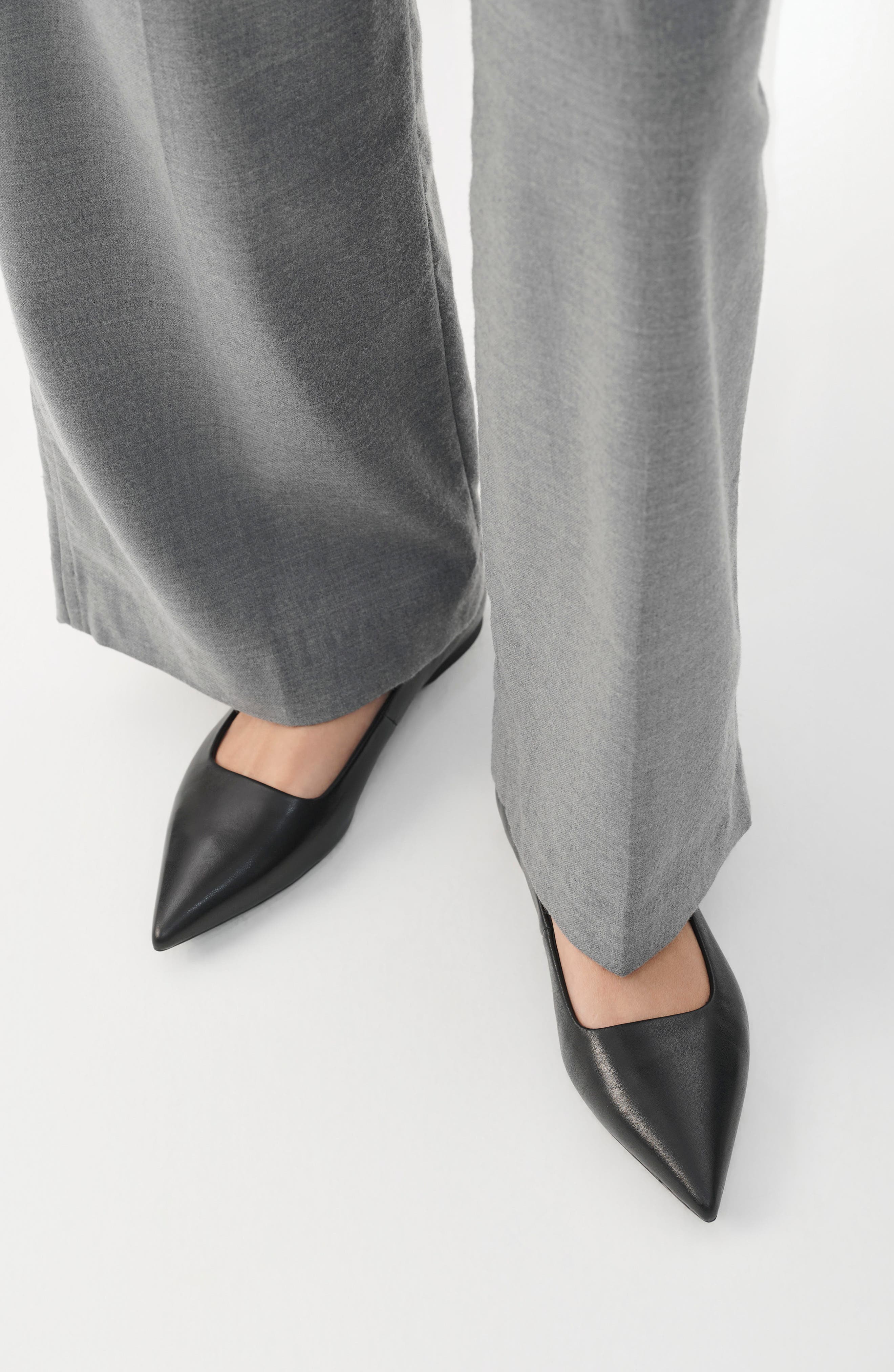 Hermine Pointed Toe Flat, Alternate, color, BLACK