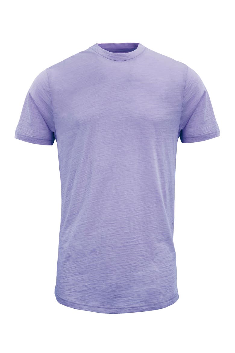 Cassius Merino Wool Jersey Crew Neck T-Shirt, Alternate, color, Lavender