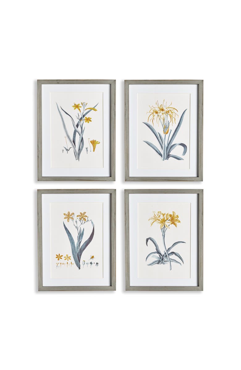 Napa Home & Garden Daffodil Prints Set of 4, Main, color, Blue
