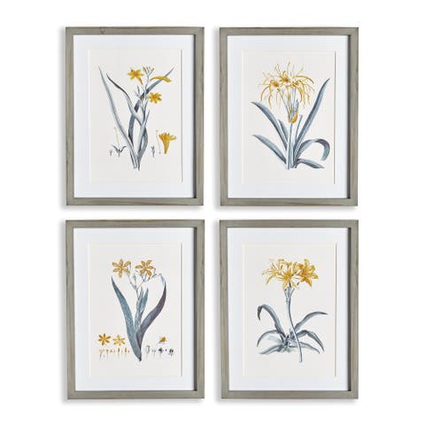 Daffodil Prints Set of 4