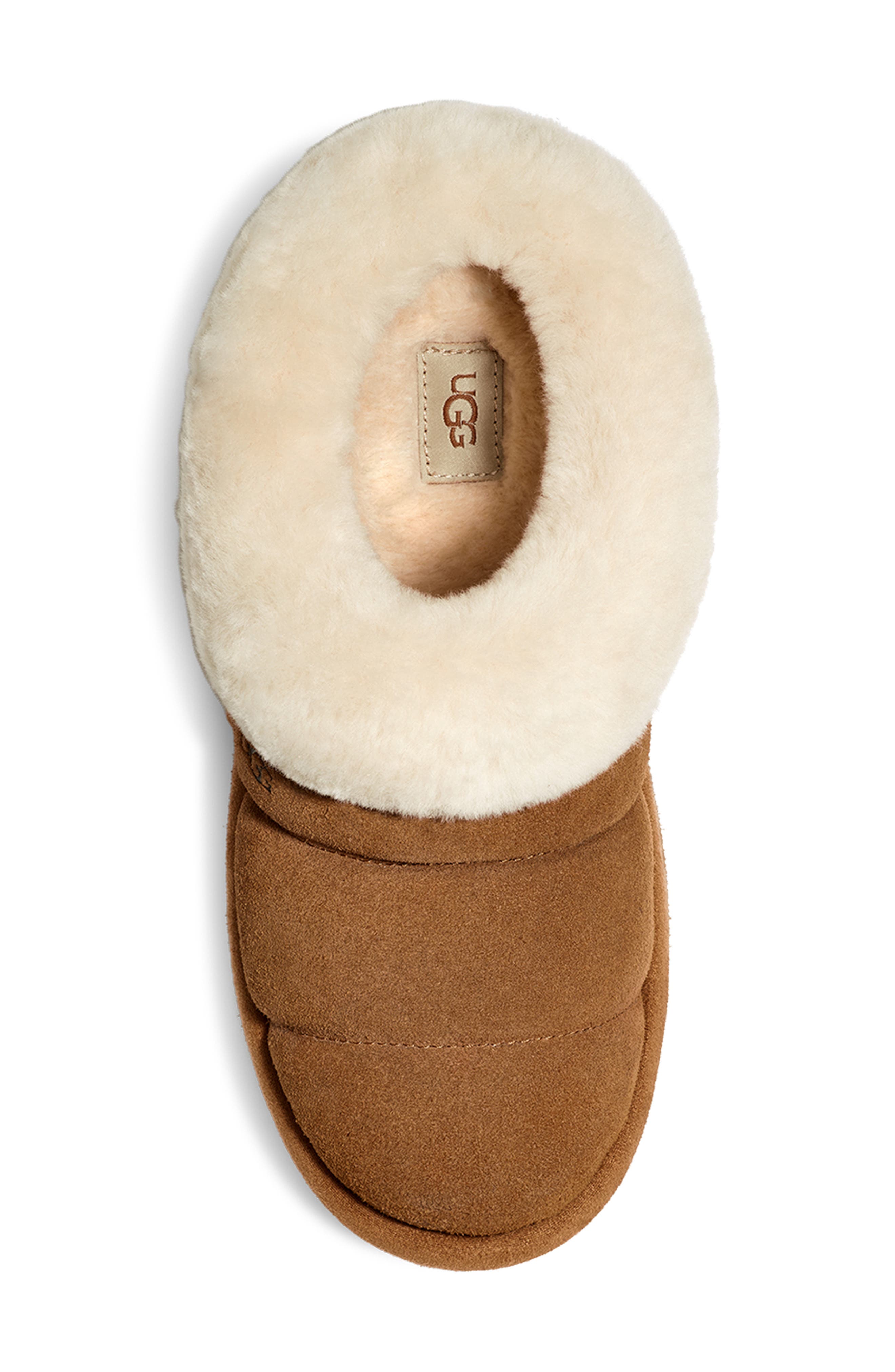 UGG® Tazzlita Genuine Shearling Trim Platform Slipper (Women
