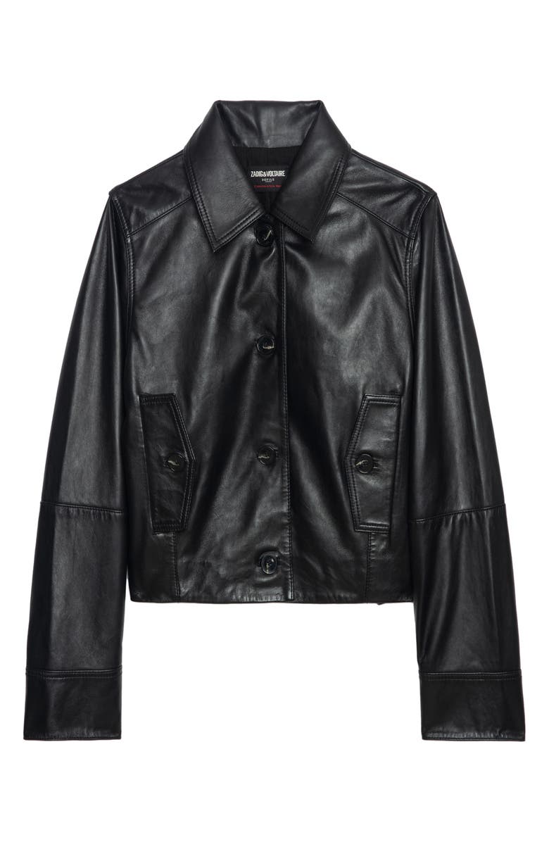 Zadig & Voltaire Liston Leather Crop Jacket, Alternate, color, 