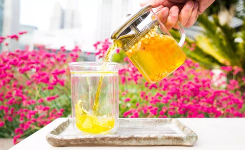 Samovar Tea Vivid Brewpot In Transparent