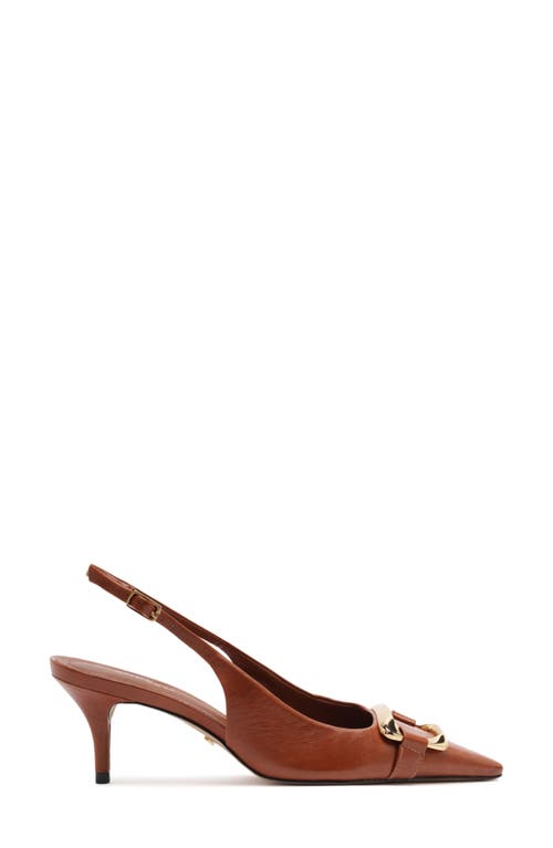 Arezzo Felicity Slingback Pointed Toe Pump In Brown
