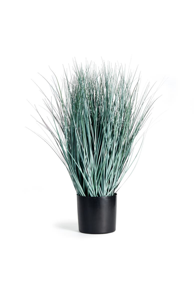 Blue Oat Grass Drop-In 32", Main, color, Blue