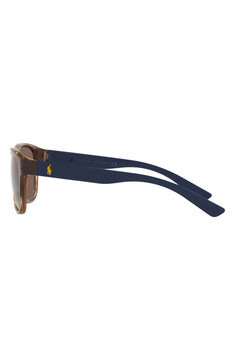 Polo Ralph Lauren 56mm Pillow Sunglasses, Alternate, color, Shiny Havana / Brown