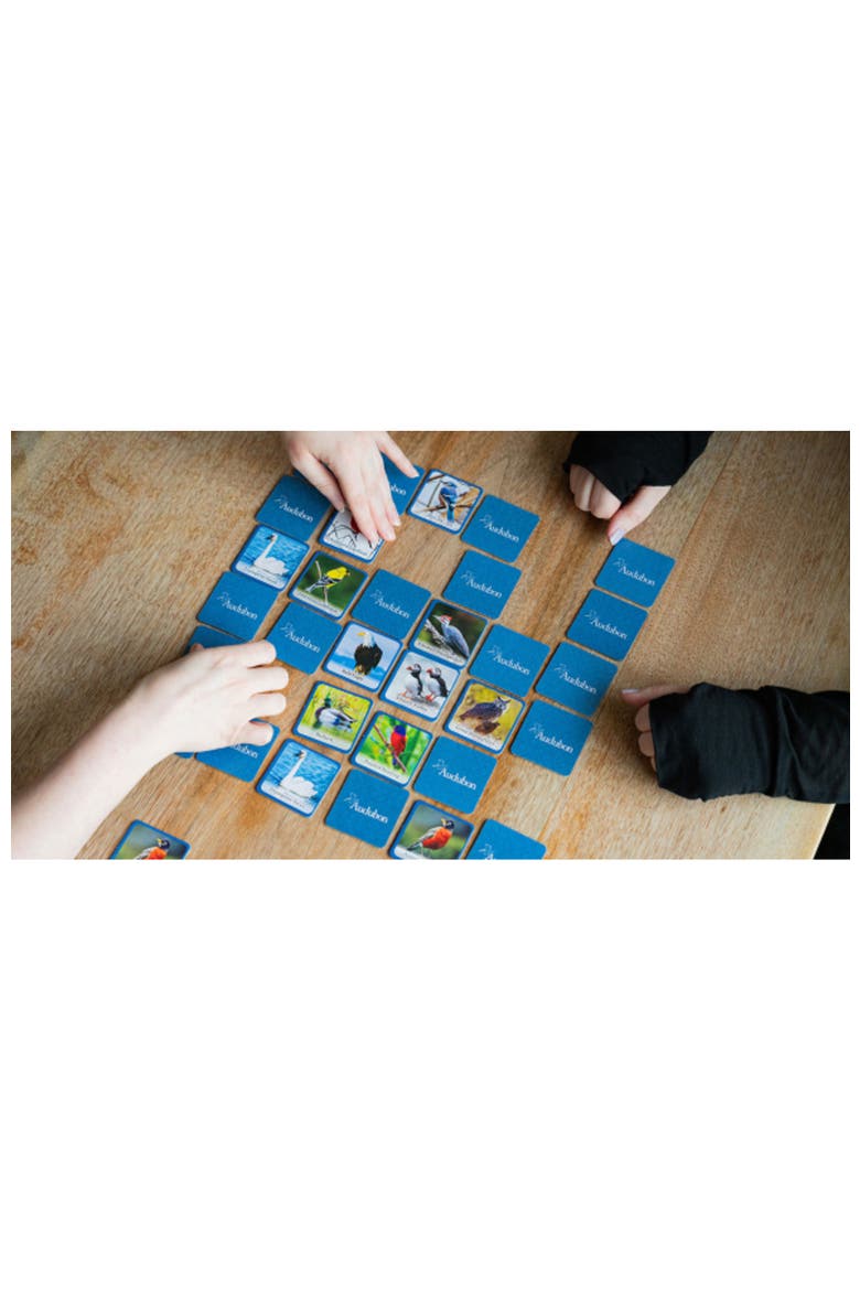 Audubon - Bird Matching Game, Alternate, color, Multicolor