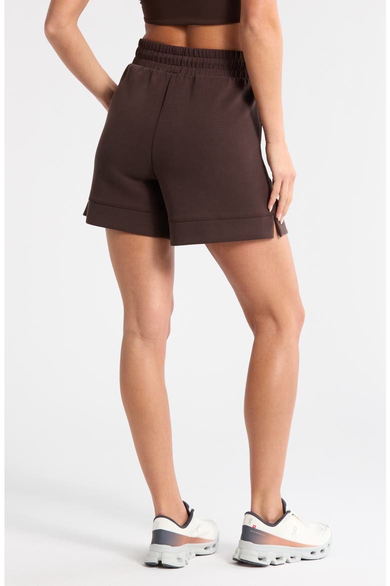 Soft Luxe High Waist Knit Shorts, Alternate, color, BROWN MOLE'