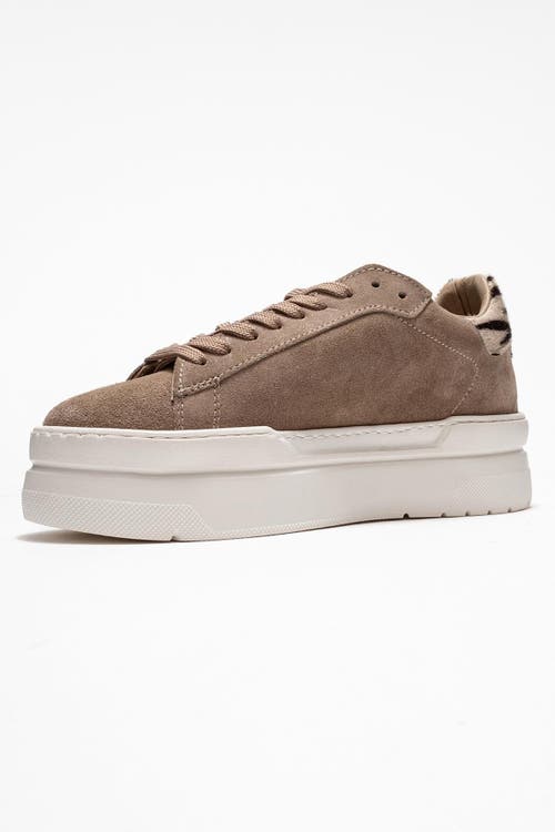 Forever & Always Shoes Anabel Leather Platform Sneakers In Multi