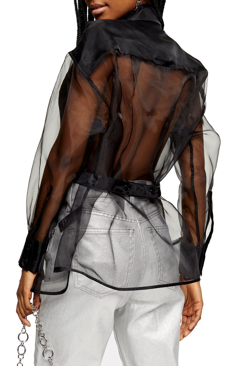 Topshop Solid Front Organza Shirt, Alternate, color,