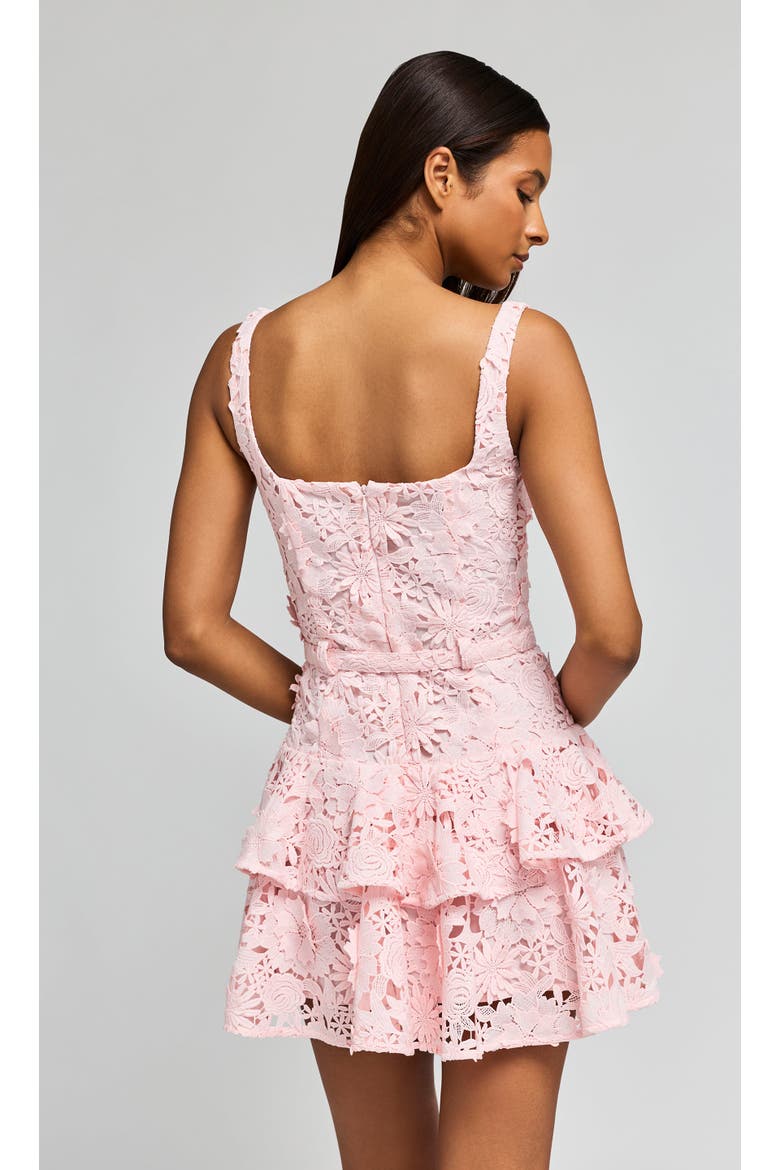 Lisette 3D Lace Dress, Alternate, color, Ballet Slipper