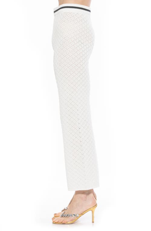 Alexia Admor Kora Cropped Open Stitch Knit Pants In Ivory
