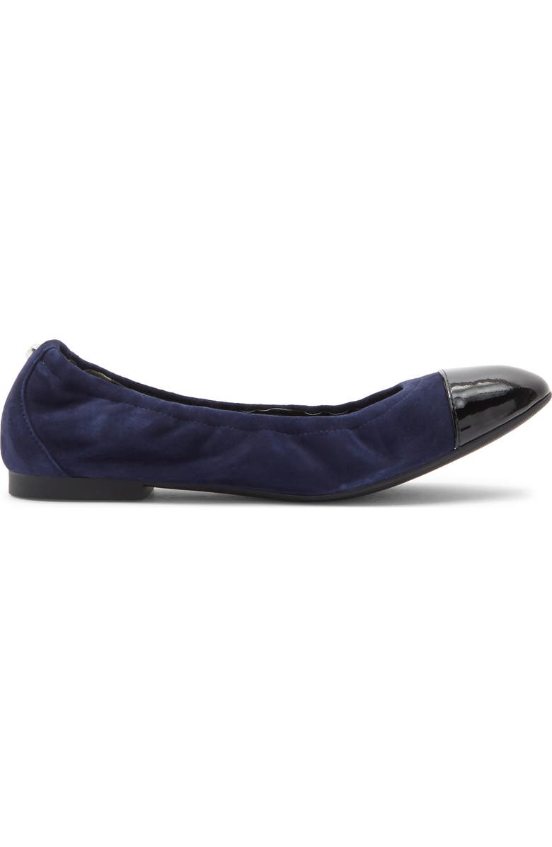 Stuart Weitzman Gabby Ballet Flat, Alternate, color, Nice Blue/ Black