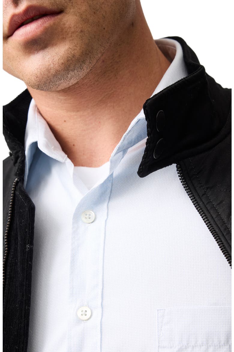Polstead Organic Cotton Button-Up Shirt, Alternate, color, POWDER BLUE