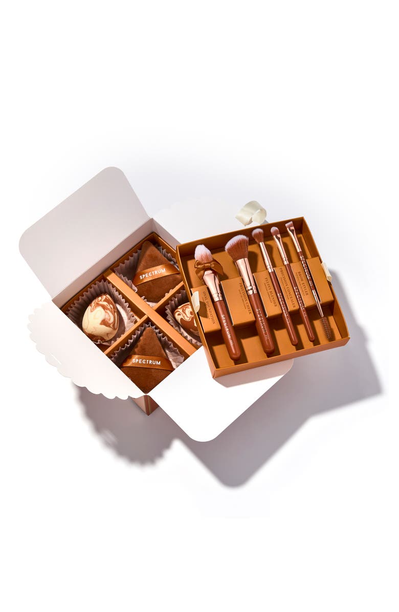 SPECTRUM Pumpkin Spice 9-Piece Makeup Brush & Sponge Set, Alternate, color, Orange