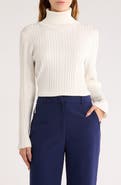 BY DESIGN Yalex Turtleneck Sweater