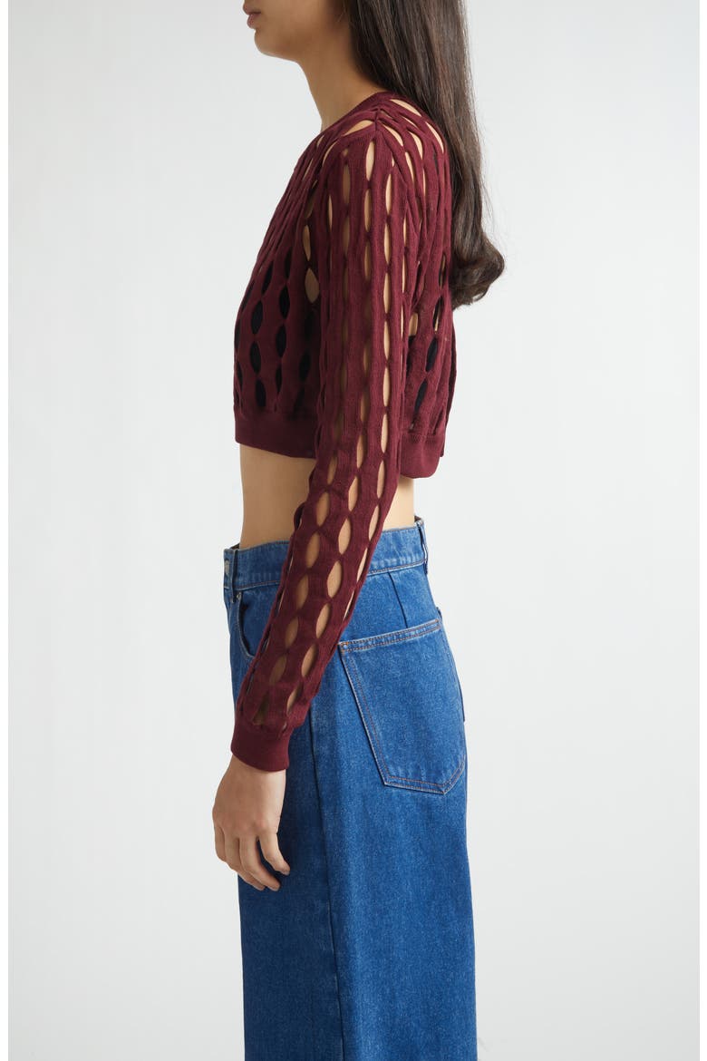 Perforated Crewneck Sweater, Alternate, color, BURGUNDY