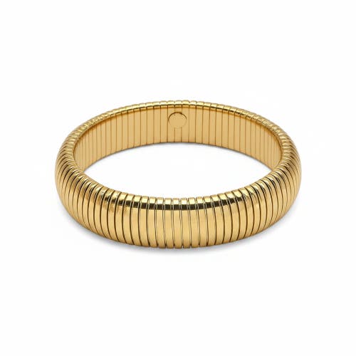 Ivy & Pearl Co. The Montclair Ribbed Bangle in Gold at Nordstrom