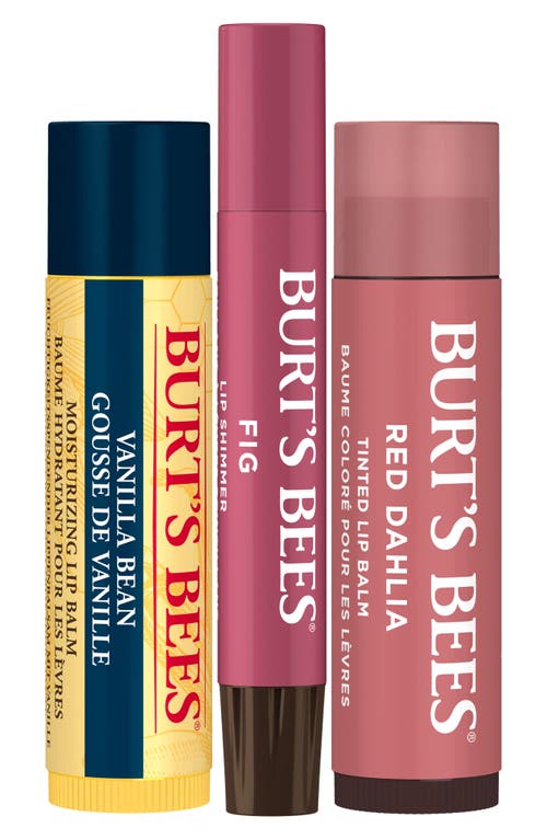 Burt's Bees Mistletoe Kiss Bee Merry Lip Balm Gift Set In Transparent
