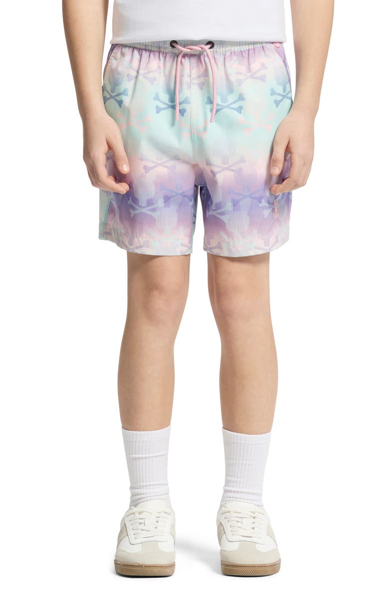 Psycho Bunny Kids' Forster Bunny Print Swim Trunks, Alternate, color, Lavender Gray